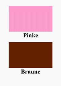 Pinke und Braune